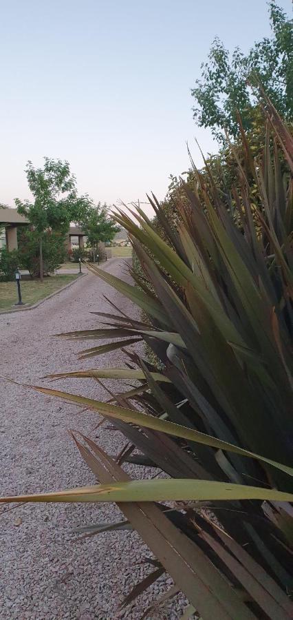 Alto San Andres Bed & Breakfast San Andres de las Sierras ภายนอก รูปภาพ